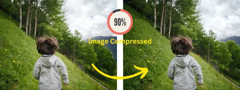 Original Image Vs Compressed Image by CompressJPG.co